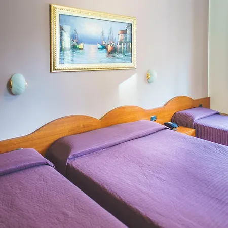 Hotel Venini 3*